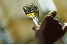 Peti rakija fest Peti rakija fest