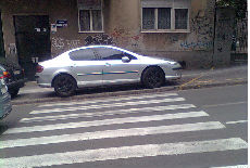 Stop za pešake !? (37) Stop za pešake !? (37)