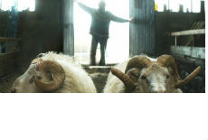 Najbolji film "Ovnovi" Najbolji film "Ovnovi"